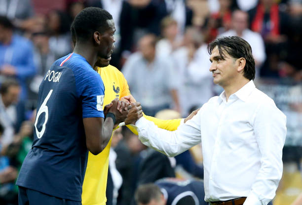 不仅能增强 不仅能增强